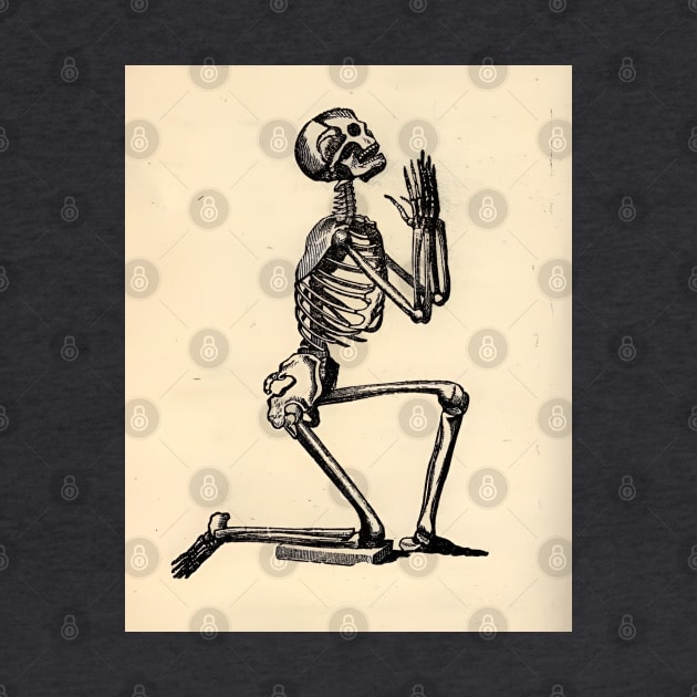 Kneeling Praying Skeleton - Vintage Illustration by maxberube